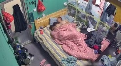 预览图11