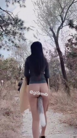 预览图4