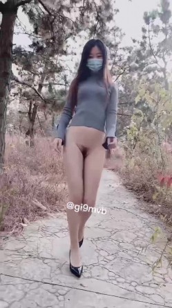 预览图7