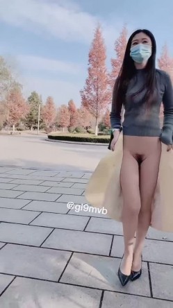 预览图12