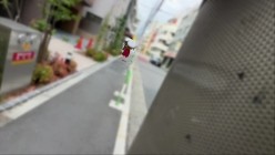 预览图2