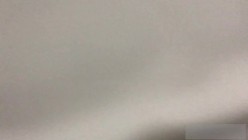 预览图5