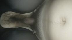 预览图13