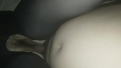 预览图15