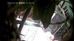 预览图1
