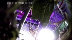 预览图7