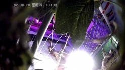 预览图9
