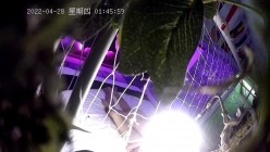 预览图10