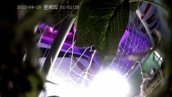 预览图12