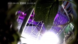 预览图13