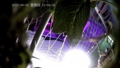 预览图14