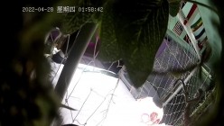 预览图15