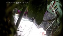预览图16