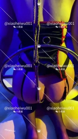 预览图3