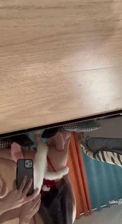 预览图3