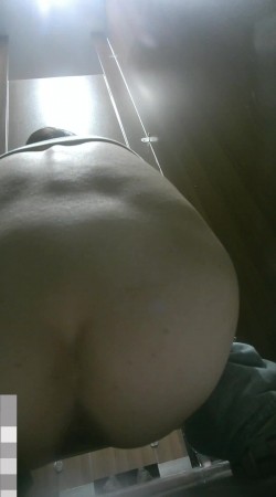 预览图4