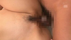 预览图14