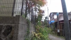 预览图6