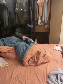 预览图4