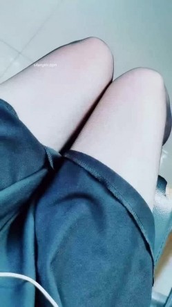 预览图4