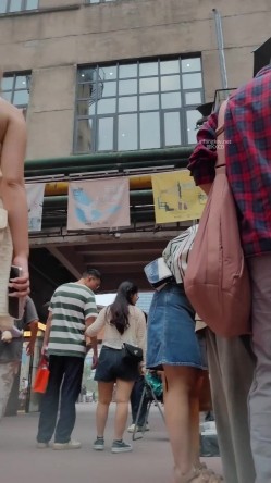 预览图13