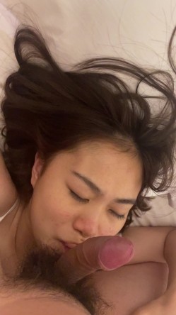 预览图4