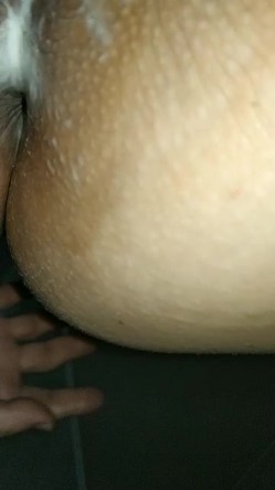 预览图14