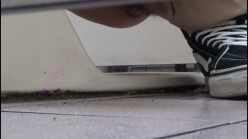 预览图4