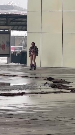 预览图1