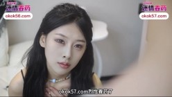 预览图4