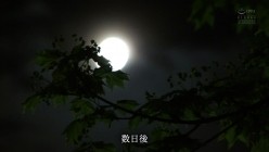 预览图7