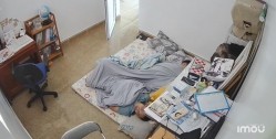 预览图1