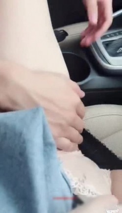 预览图8