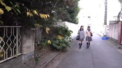 预览图2