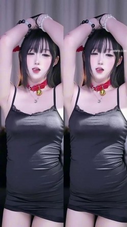 预览图4