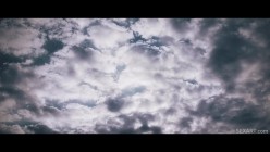 预览图5
