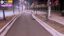 预览图1