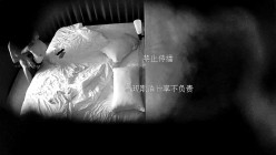 预览图12