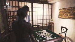 预览图13