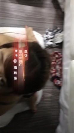 预览图16