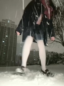 预览图8