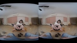 预览图3