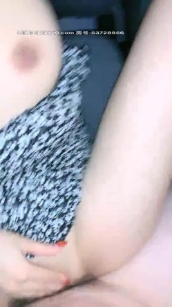 预览图14