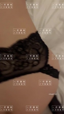 预览图5