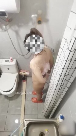 预览图2