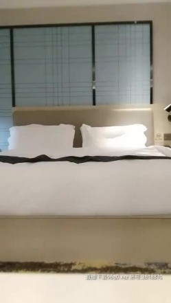 预览图4
