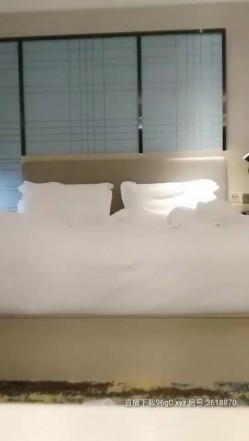 预览图8