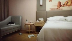 预览图4