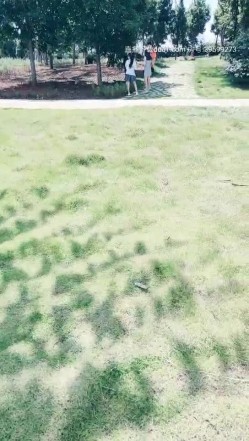 预览图2