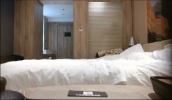 预览图5